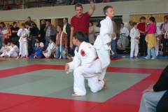 eule2