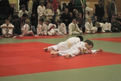 31ET2009-17