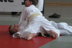 CM2010-22