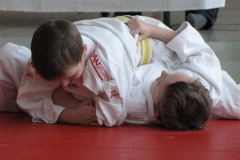 CM2010-23