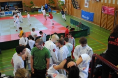 DEM2010-1