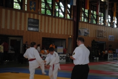 DEM2010-14