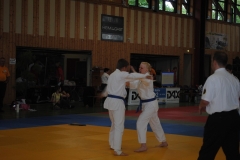 DEM2010-16