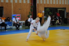 DEM2010-17