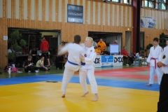 DEM2010-18