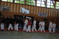 DEM2010-6