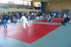 IMG_0045-Large