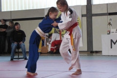 IMG_0244-Large