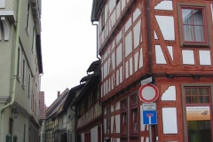 IMG_0010-Large