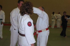 IMG_0028-Large