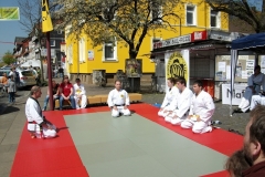 Fruehlingsmesse2010-11