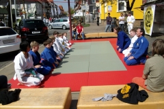 Fruehlingsmesse2010-3