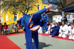 Fruehlingsmesse2010-5