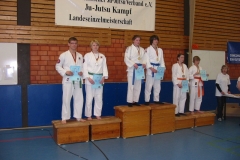LEM2010-3
