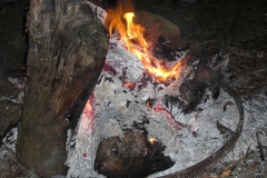 Thiais-2