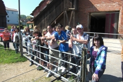 Thiais-5