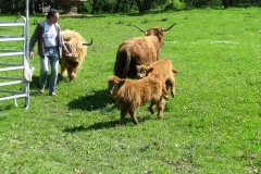 Thiais-6
