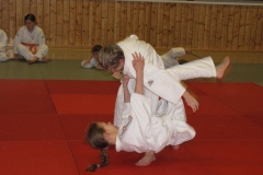 IMG_5349_1024x768