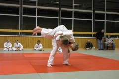 IMG_5353_1024x768