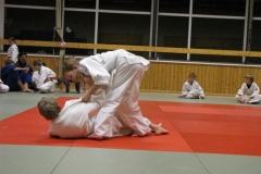 IMG_5354_1024x768