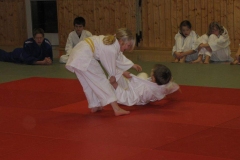 IMG_5381_1024x768