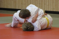 IMG_5558_1024x768