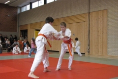 IMG_5565_1024x768