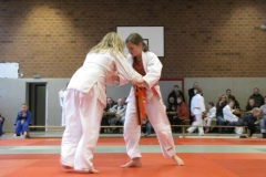 IMG_5596_1024x768