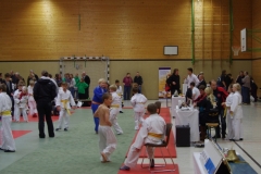 IMGP2209
