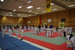 IMGP2212