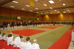 IMGP2226