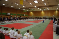 IMGP2230