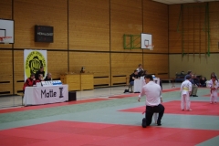 IMGP2235