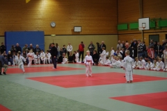 IMGP2237