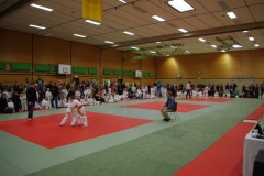 IMGP2238