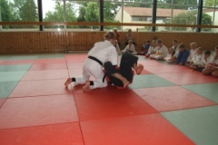 Bild-031