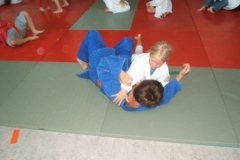 Bild-162