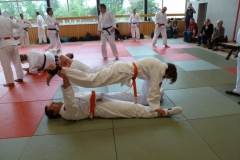 JJLGSPA113