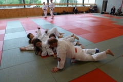 JJLGSPA117