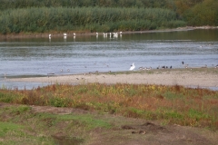 P1050052