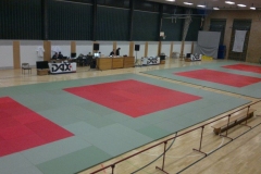 LEM2013-1