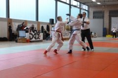 LEM2013-27