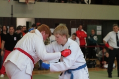 LEM2013-3