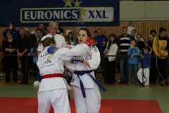 LEM2013-4