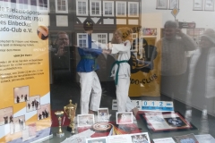 Schlaufenster-3