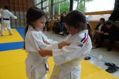 DSC05499-Kopie